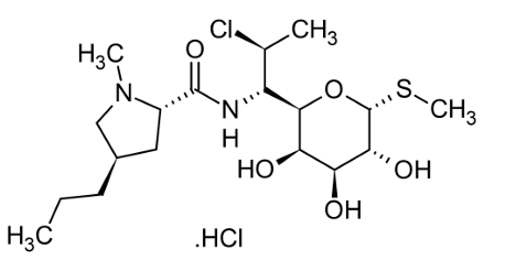 <p>[LINCOSAMIDES]</p><p>a. Lincomycin</p><p>b. Clindamycin</p><p>c. Chloramphenicol</p>