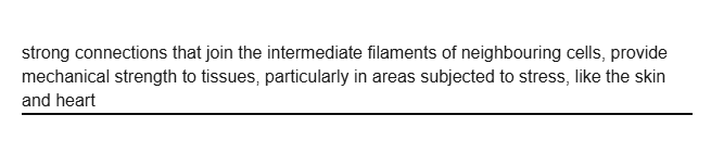 <p>strong connections that join the intermediate filaments of neighbouring cells</p>