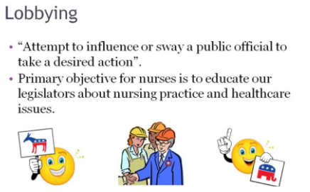 <ul><li><p><span style="background-color: transparent;">Involvement in local committees or organizations related to nursing</span></p></li><li><p><span style="background-color: transparent;">Involvement in state and/or national nursing organizations</span></p></li><li><p><span style="background-color: transparent;">Mentorship</span></p></li><li><p><span style="background-color: transparent;">Maintain Necessary Qualities</span></p></li></ul><p></p>
