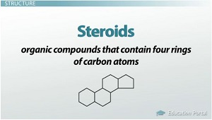 <p>A type of lipid molecule characterized by a core chemical structure of four fused carbon rings</p><ul><li><p>Membrane Fluidity (Cholesterol): Cholesterol embeds itself in animal cell plasma membranes. It acts as a fluidity buffer</p></li><li><p>Cholesterol serves as the vital starting material or precursor used to synthesize important steroid hormones, including testosterone, estrogen, progesterone, and cortisol</p></li><li><p>Cell Signaling and Gene Expression</p></li></ul><p></p>