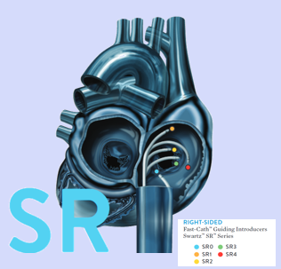 <p>SR (Swartz series right sided)</p>