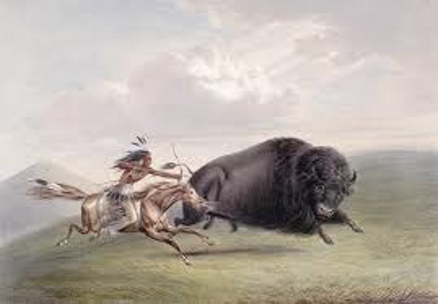 <p>hunting</p>