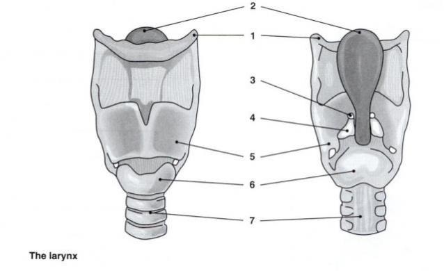 <p>What is number 4</p>