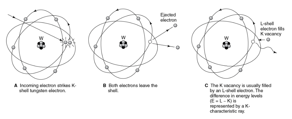 <p>What happens during Characteristic Radiation?</p>