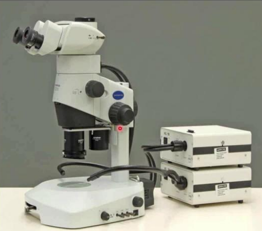 <p>A microscope using two optical paths to produce a 3D image of solid specimens at lower magnification.</p>