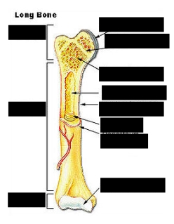 <p>Parts (right)</p>