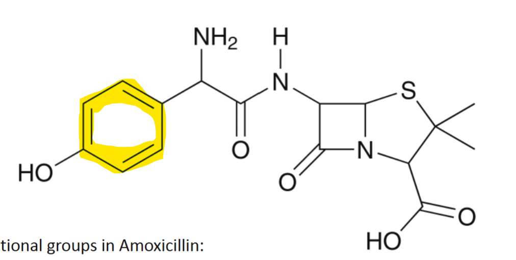 <p>What functional group is highlighted</p>