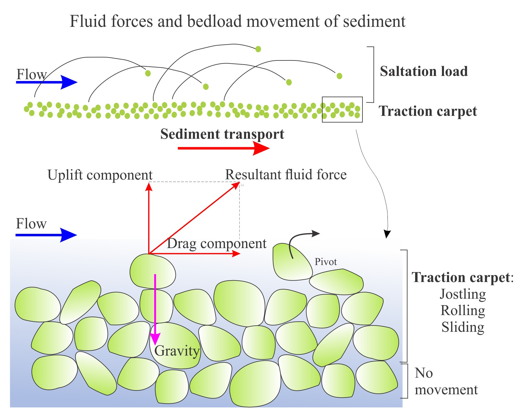 <p>Sediment in bedload transport that leaves the bed and is moved directly by the fluid. Less dense sediments are winnowed.</p>
