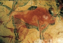 <p>Paleolithic painters used stone lamps to provide light in the dark caves. They made brushes from reeds and twigs or used reed or bone blowpipes to spray ground ocher pigments onto out-of-reach surfaces.</p>