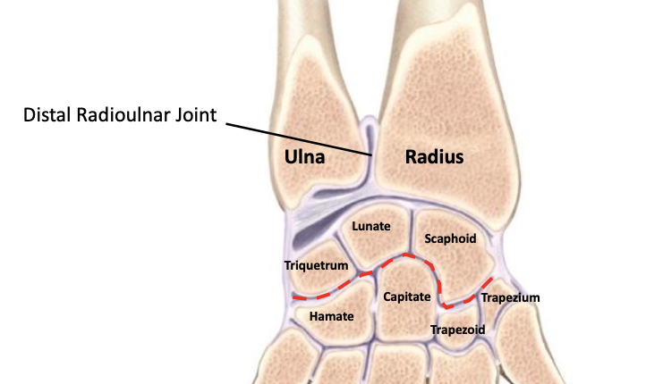 <p>Pivot type joint </p>
