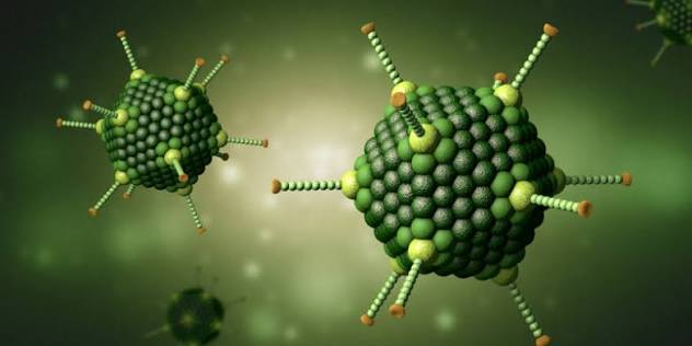<p>What virus is this?</p>