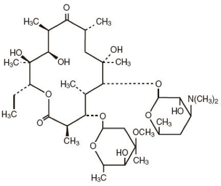 <p>Macro = large macrocyclic lactone </p><p></p><p>Classifications are according to the size of the macrocyclic lactone ring</p><ul><li><p>14 membered ring → <strong>Erythromycin </strong></p></li><li><p>15 membered ring → </p></li></ul><p></p>