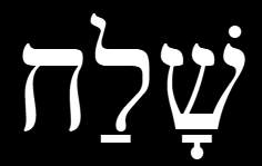 <p></p>