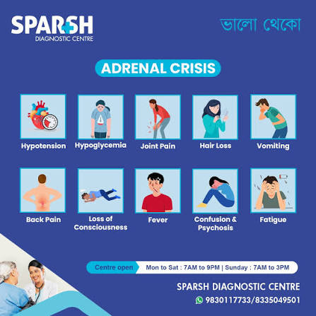 <p>Patient with suspected adrenal crisis (hypotension, hyponatremia, hyperkalemia, hypoglycemia). What is the immediate treatment after drawing blood for cortisol/ACTH? </p>
