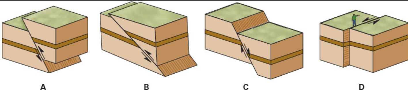 <p><span>Faults are generally classified as either dip-slip, where motion occurs parallel to the dip line, or strike-slip, where motion occurs parallel to the line of strike. Which of the images shows a strike-slip fault?</span></p>
