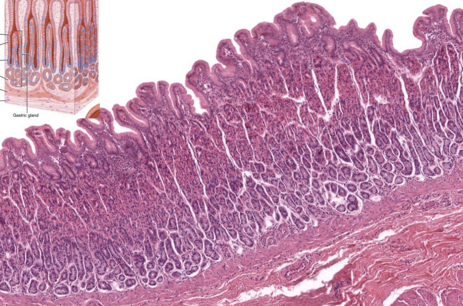 <p>Identify the Layers and Where?</p>