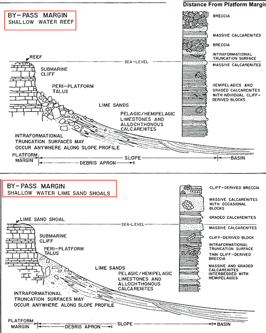 <p>shallow water reef/ shallow water lime sand shoals</p>