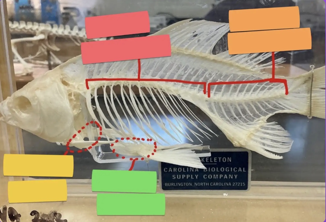 <p>What does the yellow box represent?</p>