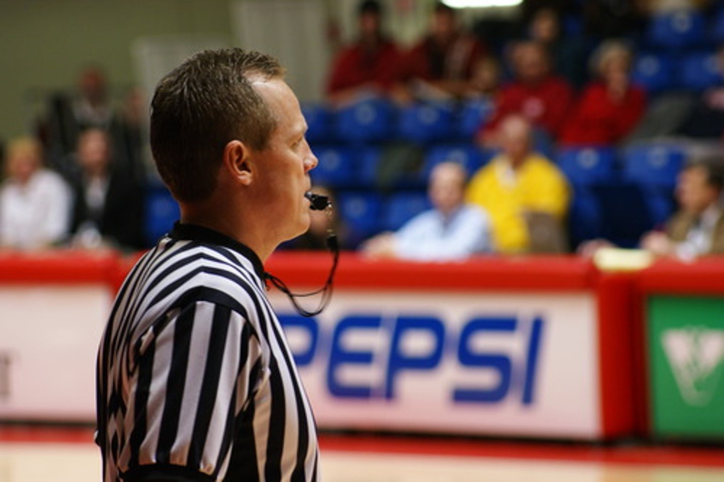 <p>судья (в спорте)</p><p>The referee blew the whistle. - Судья дал свисток.</p>