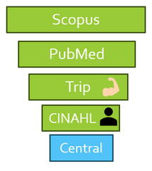 <p>Scopus</p>