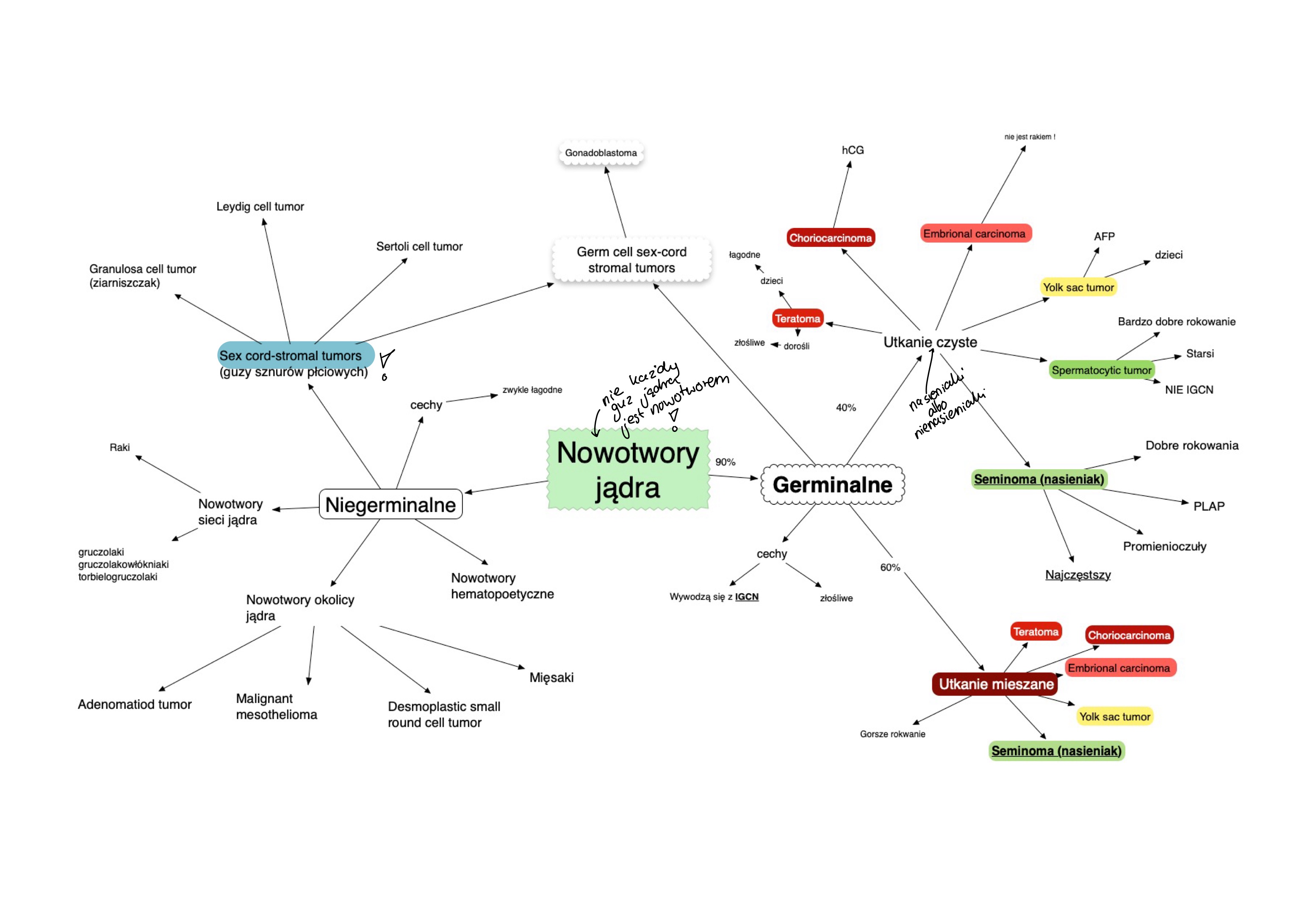 <p>v Germinalne (do 90%)</p><p>v Niegerminalne</p><p>Germinalne: o utkaniu:</p><p>­ czystym (40%)</p><p>­ mieszanym (60%)</p>