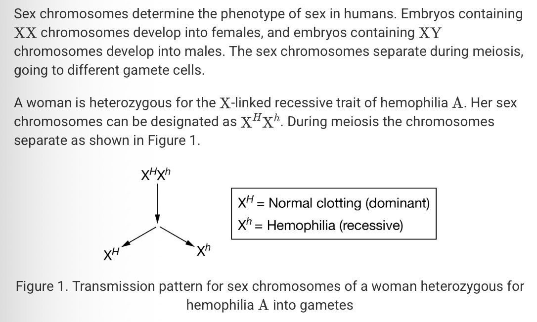 <p><span>If the woman and a man with normal clotting function have children, what is the probability of their children exhibiting hemophilia A?</span></p>