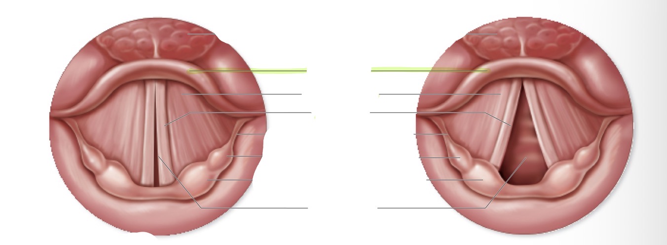 <p>what is this </p>