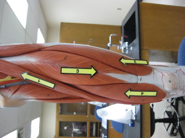 <p>What is at #1?</p>