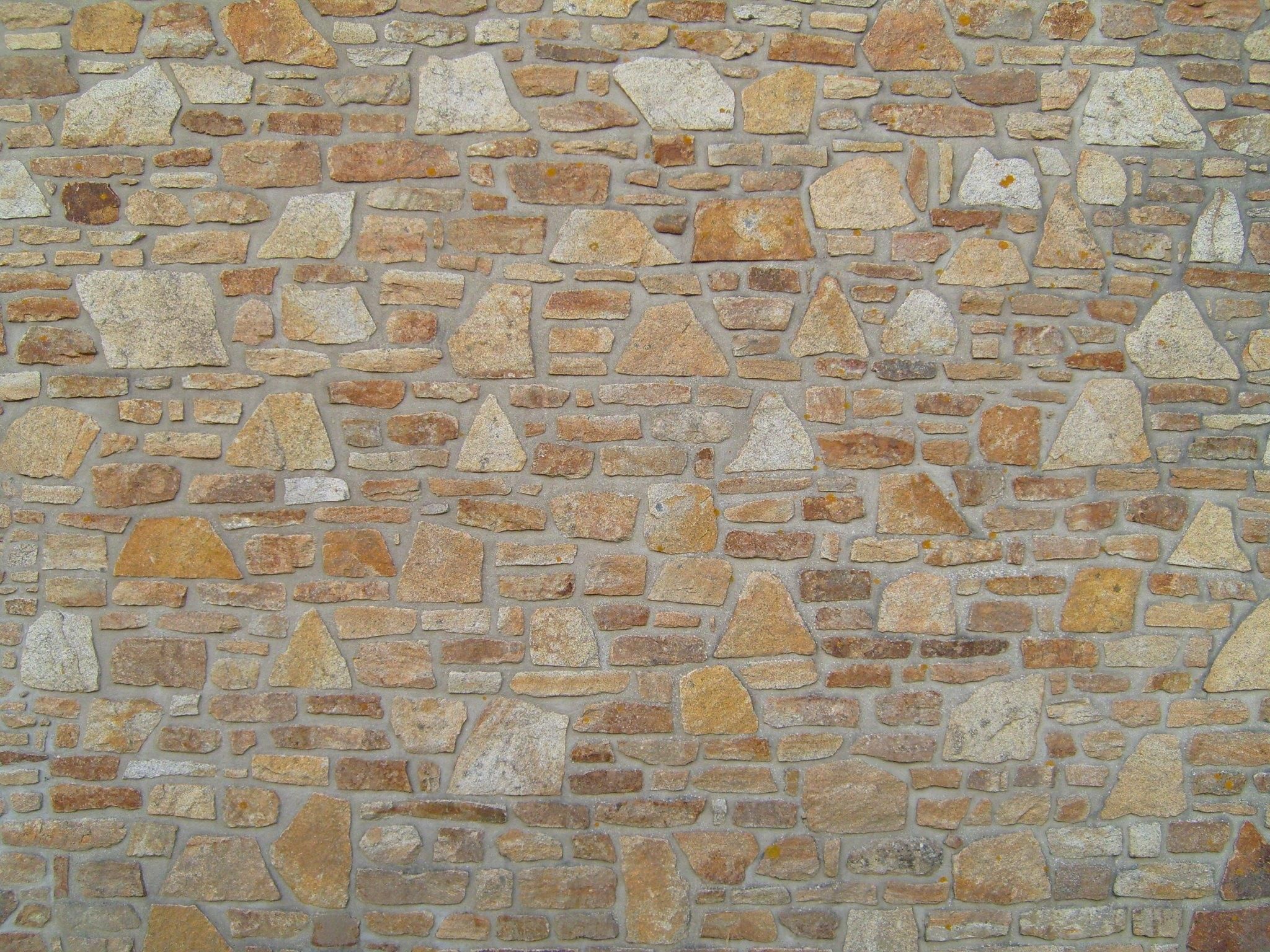 <p>wall</p>