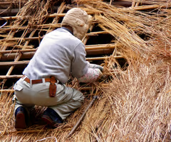 <p>thatched roof</p>