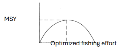<p>right half is not helping the fishery</p>