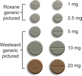 <p>PREDNISONE</p><p>generic</p>