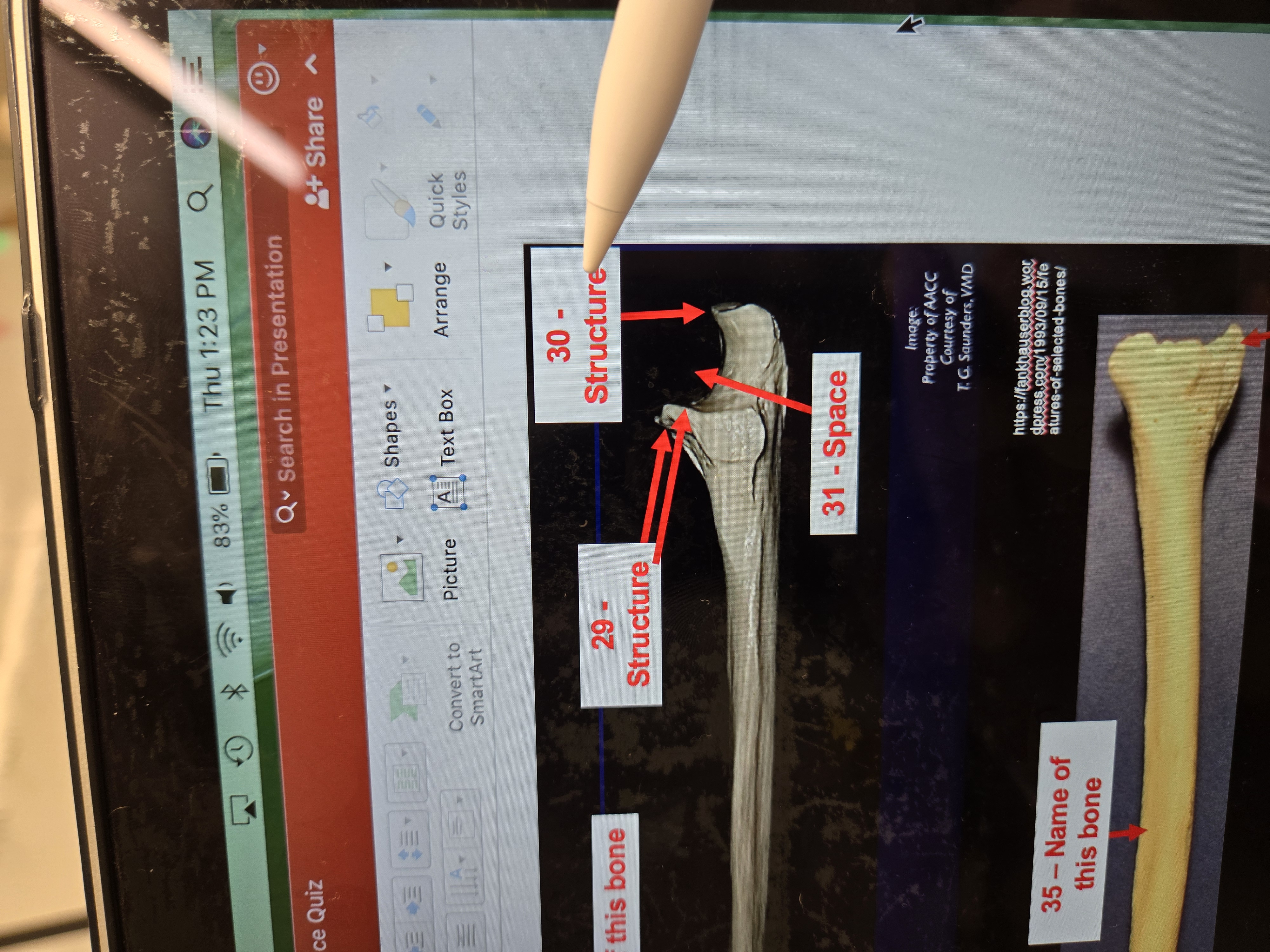 knowt flashcard image