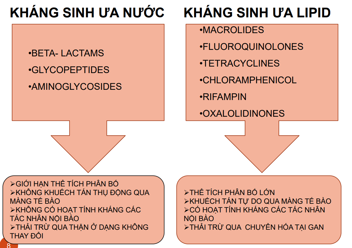 <p>Thuốc ưa nước và ưa lipid</p>
