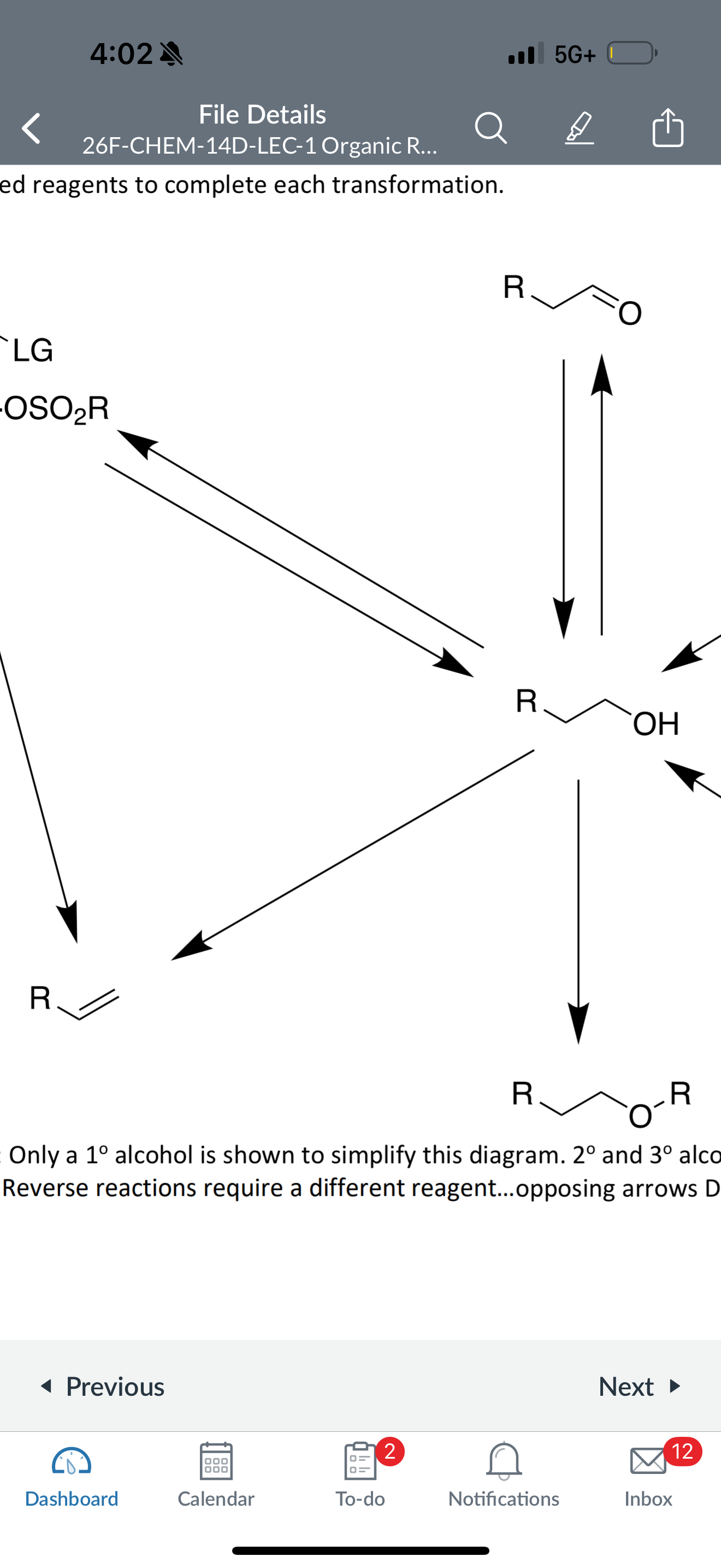 term image
