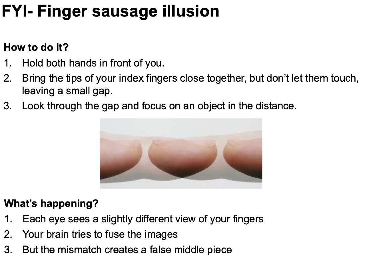 <p>Define retinal disparity</p>