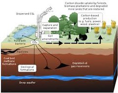 <p>Captures and stores carbon from emissions</p>