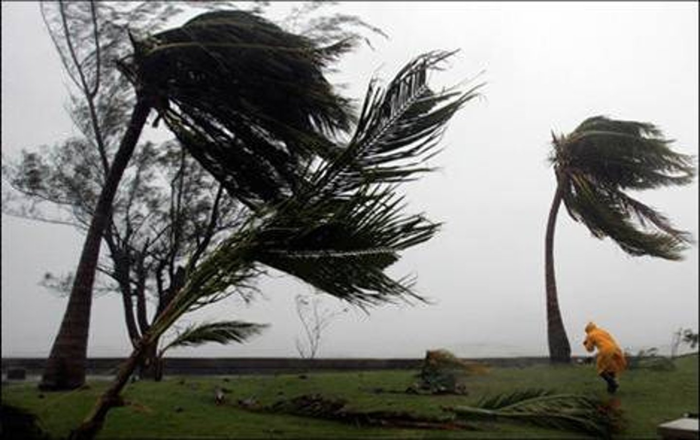 <p>a very strong wind</p>