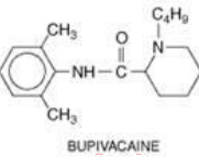 <p>Ester or Amide?</p>