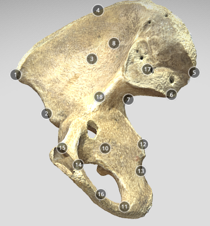 <p>15</p>
