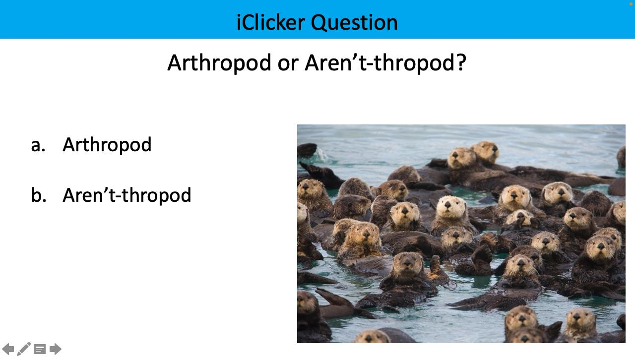 <p>arthropod or aren’t-thropod?</p>