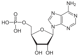 <p>Molecule?</p>