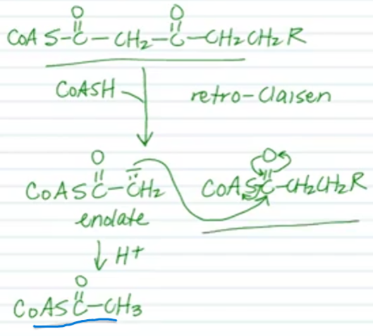 <p>Name the reaction and the FG transformation.</p>