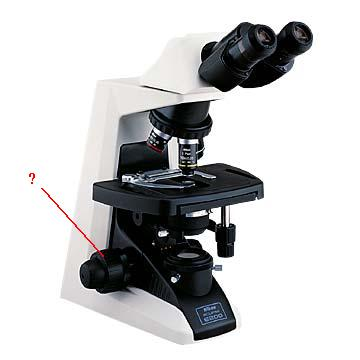 <p>Identify the indicated part of the microscope</p>