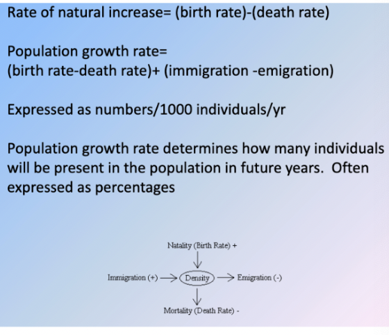 <p>Births within a population</p>