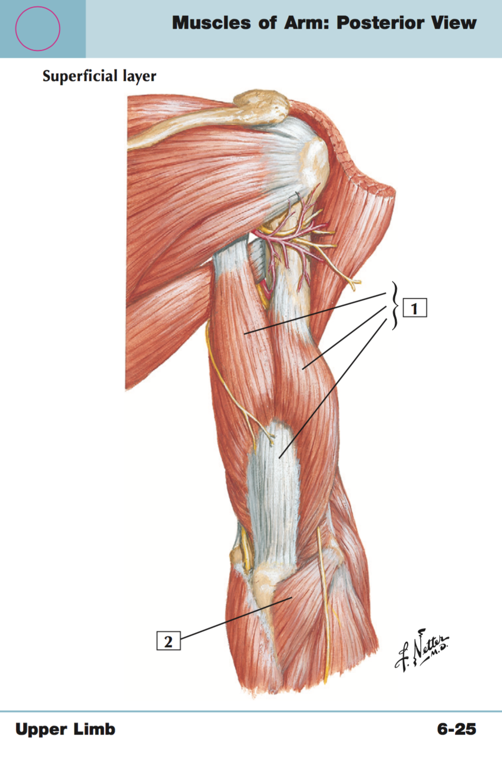 <p>+origin/insertion</p>