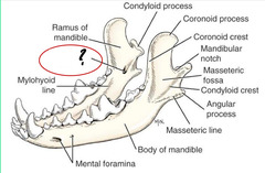 <p>What is this?</p>