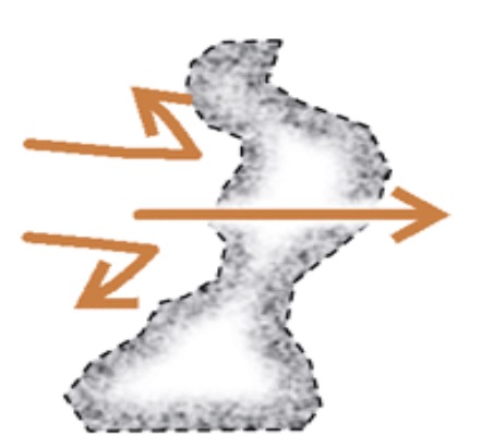 <p>What type of habitat patch is this?</p>