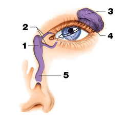 <p>Identify #5</p>