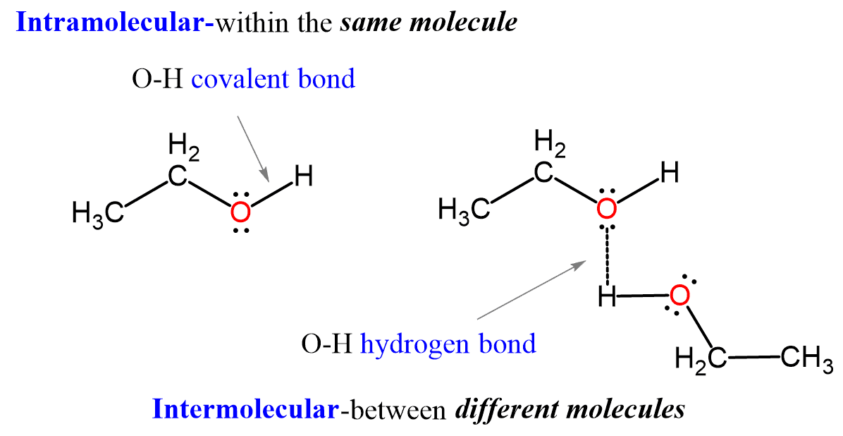 <p>O, N, or F</p>